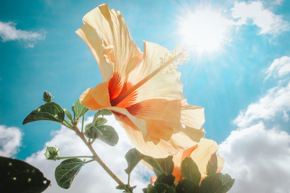 sun exposure
